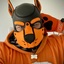 Foxi